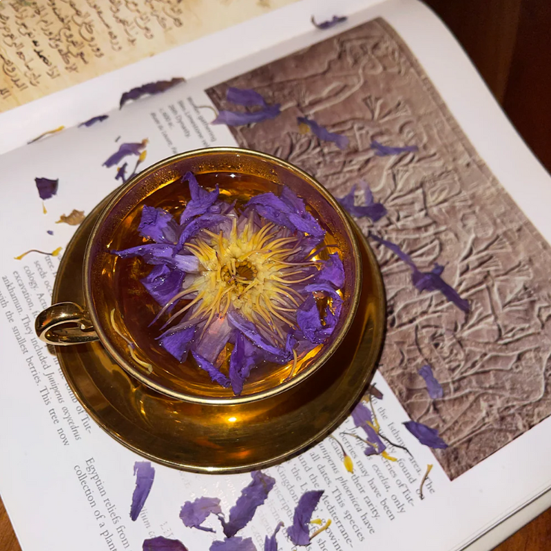 Organic Blue Lotus Tea